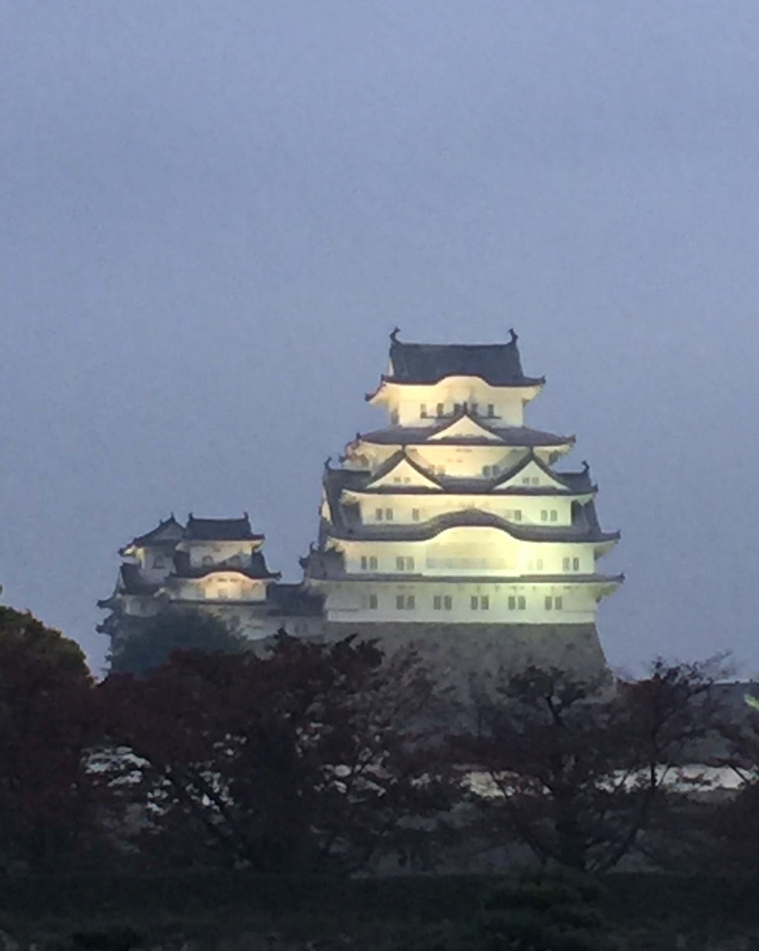 雨の姫路城 ちょっと贅沢もっとワクワク生活